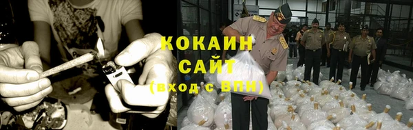 PSILOCYBIN Арсеньев
