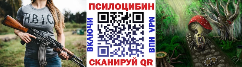 купить наркотики цена  Армянск  Псилоцибиновые грибы Psilocybe 